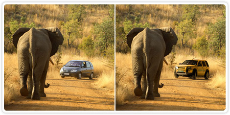 Montages/ trucage fotografie